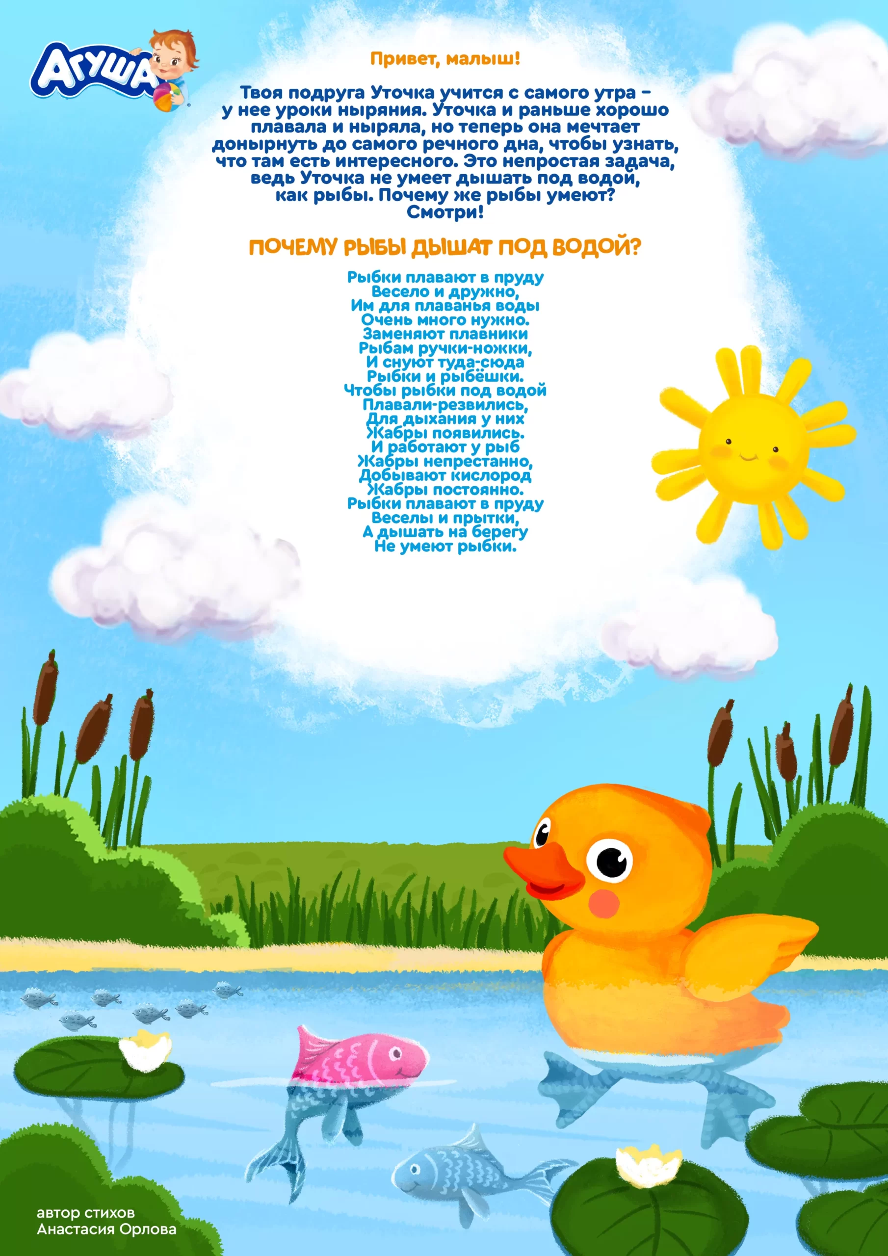 Почему рыбы дышат под водой?