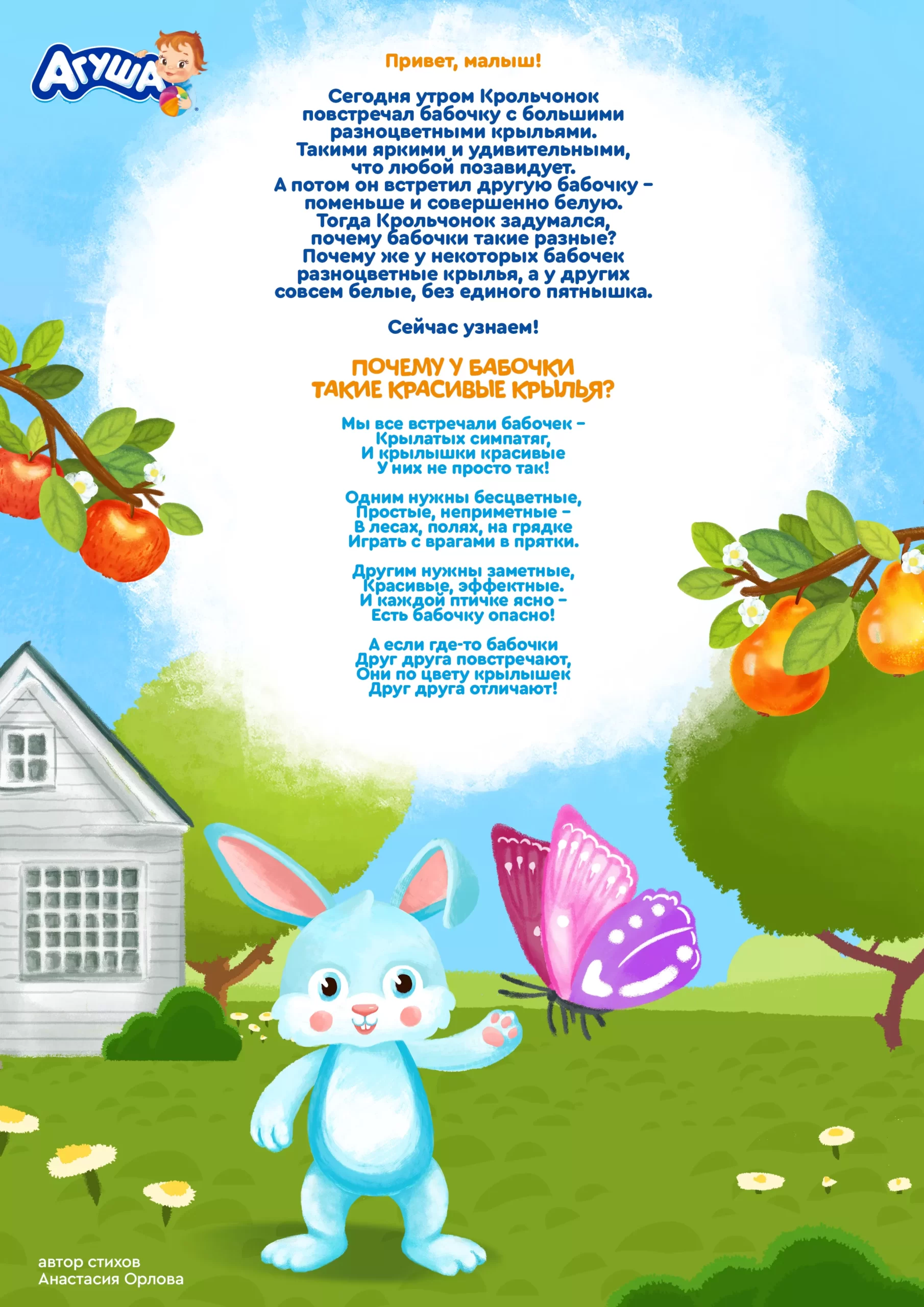 Почему у бабочки такие красивые крылья?